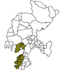 XV Distrito Electoral Local - Zacatecas