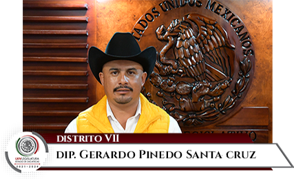 Gerardo Pinedo Santa Cruz