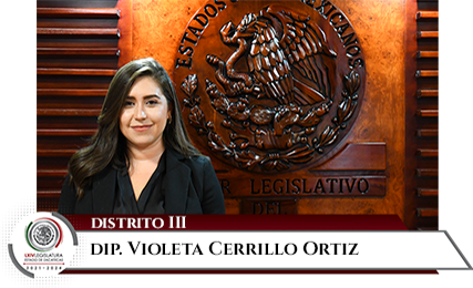 Violeta Cerrillo Ortiz